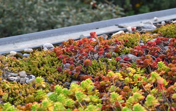 the cost of Farmtown green roof installation