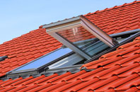 Farmtown roof window